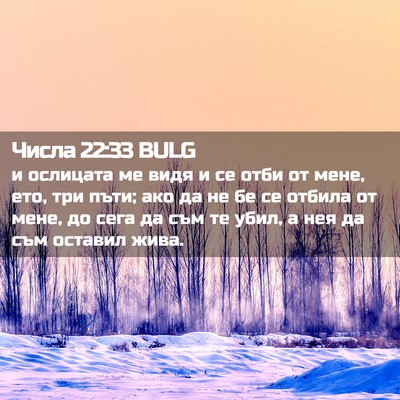 Picture 02 - Числа 22:33 BULG - и ослицата ме видя и се - Bible Verse Picture