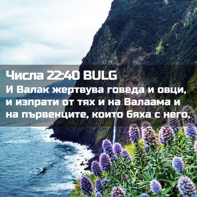Picture 02 - Числа 22:40 BULG - И Валак жертвува говеда и - Bible Verse Picture