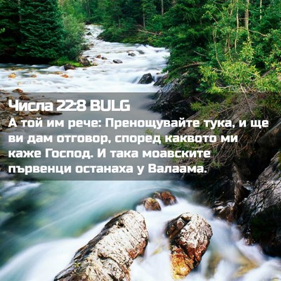 Picture 02 - Числа 22:8 BULG - А той им рече: Пренощувайте - Bible Verse Picture