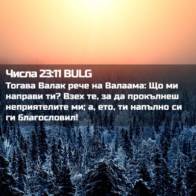 Picture 02 - Числа 23:11 BULG - Тогава Валак рече на - Bible Verse Picture