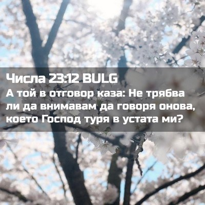 Picture 02 - Числа 23:12 BULG - А той в отговор каза: Не - Bible Verse Picture