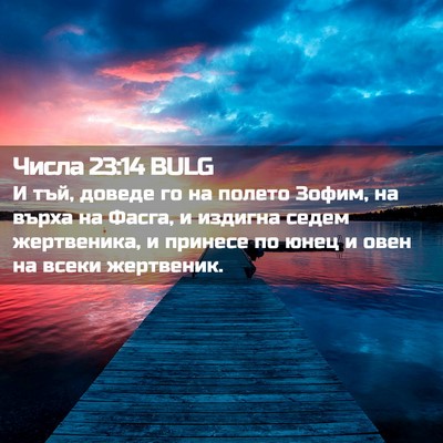 Picture 02 - Числа 23:14 BULG - И тъй, доведе го на полето - Bible Verse Picture