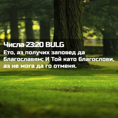 Picture 02 - Числа 23:20 BULG - Ето, аз получих заповед да - Bible Verse Picture