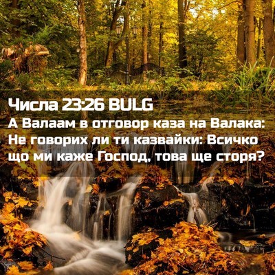 Picture 02 - Числа 23:26 BULG - А Валаам в отговор каза на - Bible Verse Picture