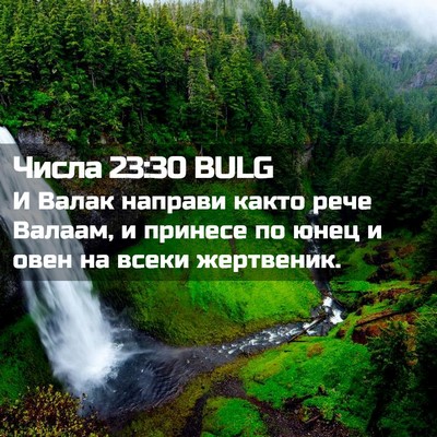 Picture 02 - Числа 23:30 BULG - И Валак направи както рече - Bible Verse Picture