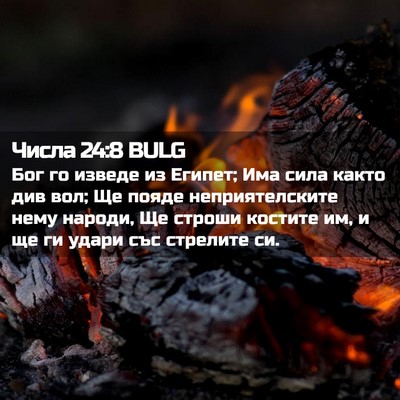 Picture 02 - Числа 24:8 BULG - Бог го изведе из Египет; - Bible Verse Picture