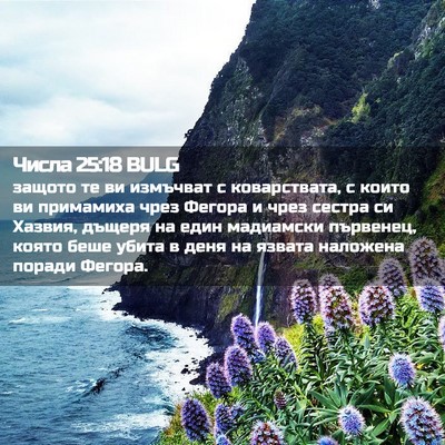Picture 02 - Числа 25:18 BULG - защото те ви измъчват с - Bible Verse Picture