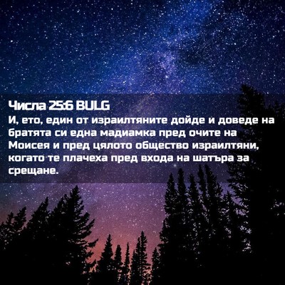 Picture 02 - Числа 25:6 BULG - И, ето, един от - Bible Verse Picture