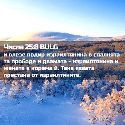 Picture 02 - Числа 25:8 BULG - и влезе подир израилтянина - Bible Verse Picture