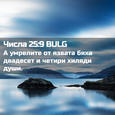 Picture 02 - Числа 25:9 BULG - А умрелите от язвата бяха - Bible Verse Picture