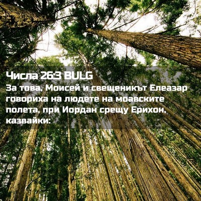 Picture 02 - Числа 26:3 BULG - За това, Моисей и - Bible Verse Picture