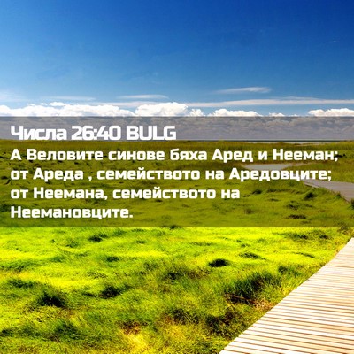 Picture 02 - Числа 26:40 BULG - А Веловите синове бяха - Bible Verse Picture