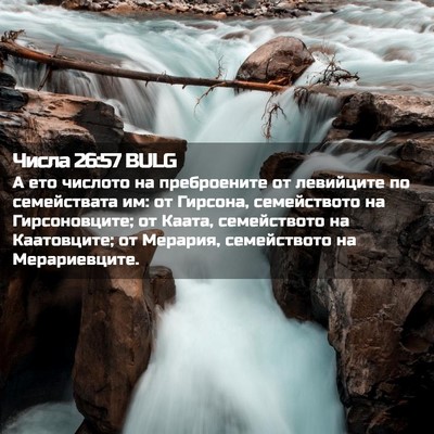 Picture 02 - Числа 26:57 BULG - А ето числото на - Bible Verse Picture