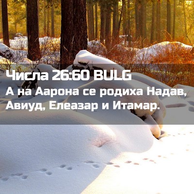 Picture 02 - Числа 26:60 BULG - А на Аарона се родиха - Bible Verse Picture