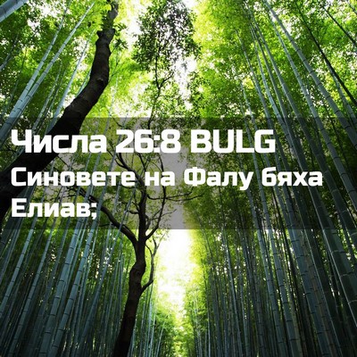 Picture 02 - Числа 26:8 BULG - Синовете на Фалу бяха - Bible Verse Picture