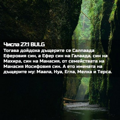 Picture 02 - Числа 27:1 BULG - Тогава дойдоха дъщерите се - Bible Verse Picture