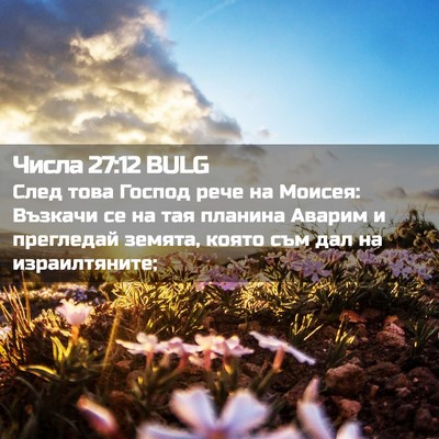 Picture 02 - Числа 27:12 BULG - След това Господ рече на - Bible Verse Picture