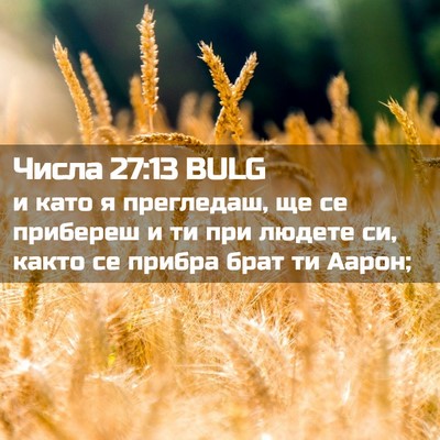Picture 02 - Числа 27:13 BULG - и като я прегледаш, ще се - Bible Verse Picture