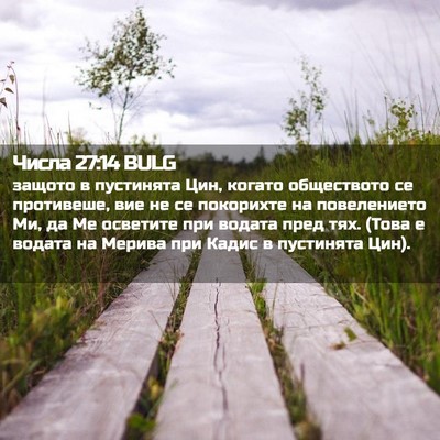 Picture 02 - Числа 27:14 BULG - защото в пустинята Цин, - Bible Verse Picture