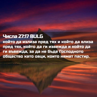 Picture 02 - Числа 27:17 BULG - който да излиза пред тях и - Bible Verse Picture