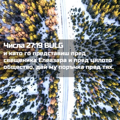Picture 02 - Числа 27:19 BULG - и като го представиш пред - Bible Verse Picture