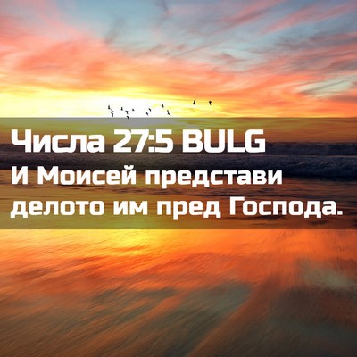 Picture 02 - Числа 27:5 BULG - И Моисей представи делото - Bible Verse Picture