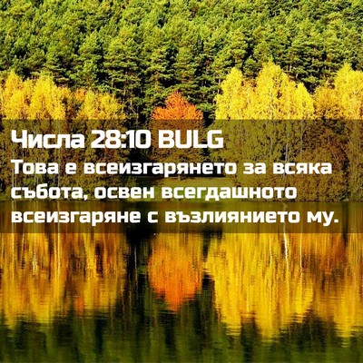 Picture 02 - Числа 28:10 BULG - Това е всеизгарянето за - Bible Verse Picture