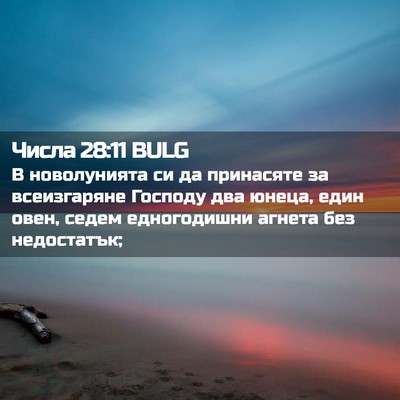 Picture 02 - Числа 28:11 BULG - В новолунията си да - Bible Verse Picture