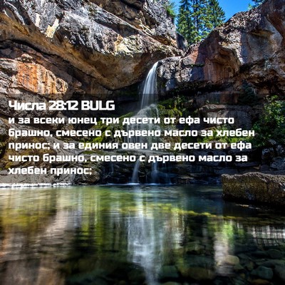 Picture 02 - Числа 28:12 BULG - и за всеки юнец три десети - Bible Verse Picture