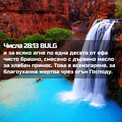 Picture 02 - Числа 28:13 BULG - и за всяко агне по една - Bible Verse Picture