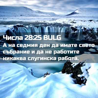 Picture 02 - Числа 28:25 BULG - А на седмия ден да имате - Bible Verse Picture