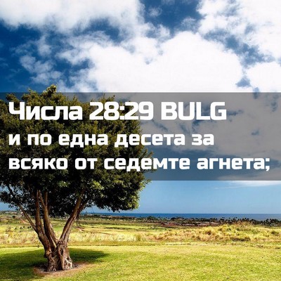 Picture 02 - Числа 28:29 BULG - и по една десета за всяко - Bible Verse Picture