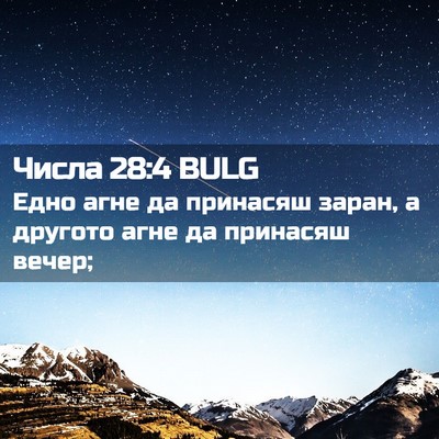 Picture 02 - Числа 28:4 BULG - Едно агне да принасяш - Bible Verse Picture