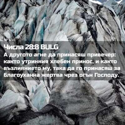 Picture 02 - Числа 28:8 BULG - А другото агне да принасяш - Bible Verse Picture