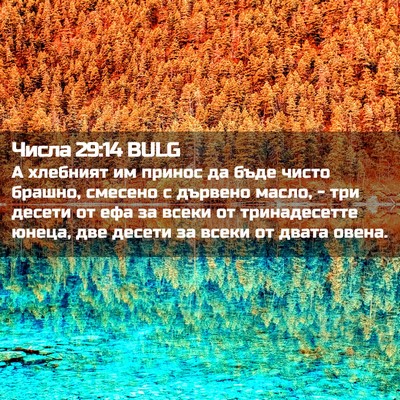 Picture 02 - Числа 29:14 BULG - А хлебният им принос да - Bible Verse Picture