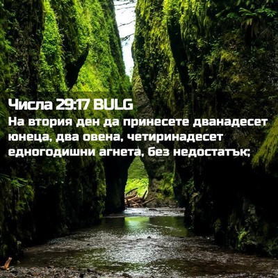 Picture 02 - Числа 29:17 BULG - На втория ден да принесете - Bible Verse Picture