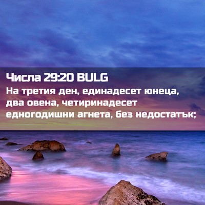 Picture 02 - Числа 29:20 BULG - На третия ден, единадесет - Bible Verse Picture
