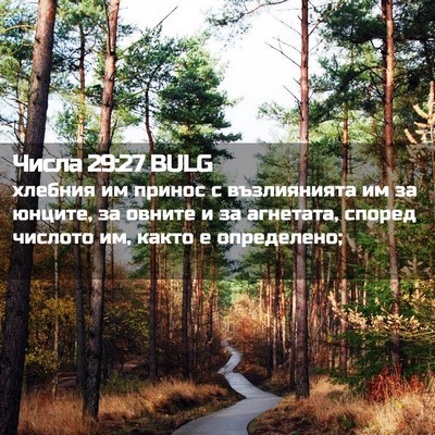 Picture 02 - Числа 29:27 BULG - хлебния им принос с - Bible Verse Picture