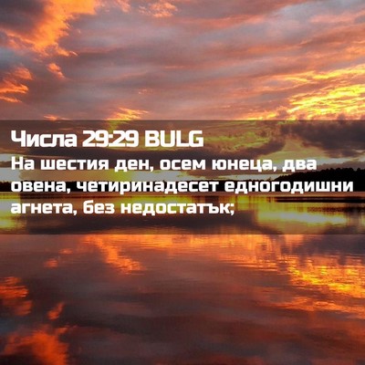 Picture 02 - Числа 29:29 BULG - На шестия ден, осем юнеца, - Bible Verse Picture