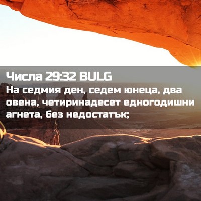Picture 02 - Числа 29:32 BULG - На седмия ден, седем юнеца, - Bible Verse Picture