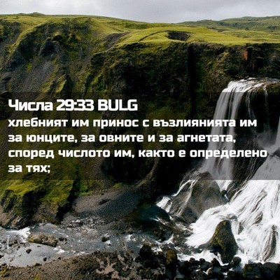 Picture 02 - Числа 29:33 BULG - хлебният им принос с - Bible Verse Picture