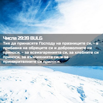 Picture 02 - Числа 29:39 BULG - Тия да принасяте Господу - Bible Verse Picture