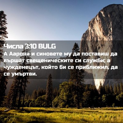 Picture 02 - Числа 3:10 BULG - А Аарона и синовете му да - Bible Verse Picture