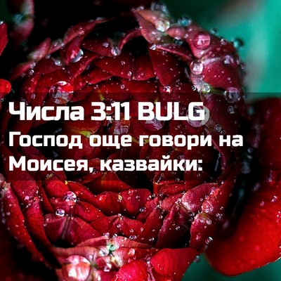 Picture 02 - Числа 3:11 BULG - Господ още говори на - Bible Verse Picture