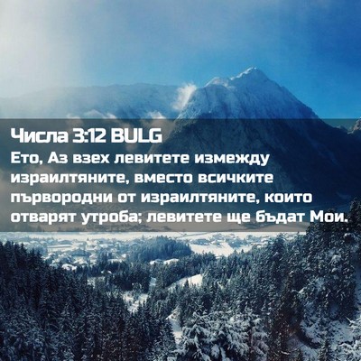 Picture 02 - Числа 3:12 BULG - Ето, Аз взех левитете - Bible Verse Picture