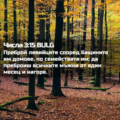 Picture 02 - Числа 3:15 BULG - Преброй левийците според - Bible Verse Picture