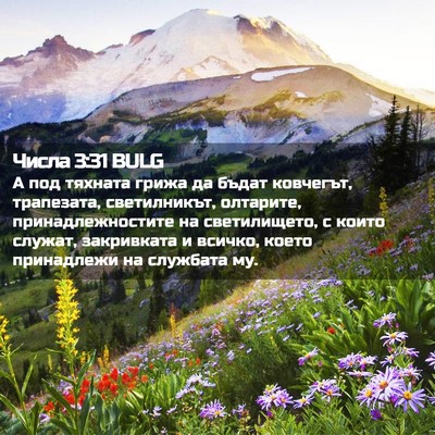 Picture 02 - Числа 3:31 BULG - А под тяхната грижа да - Bible Verse Picture