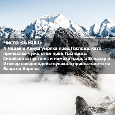 Picture 02 - Числа 3:4 BULG - А Надав и Авиуд умряха пред - Bible Verse Picture