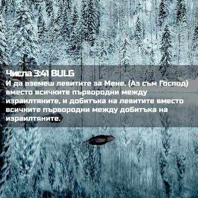 Picture 02 - Числа 3:41 BULG - И да вземеш левитите за - Bible Verse Picture