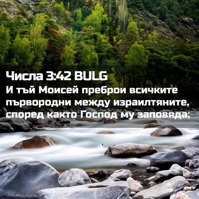 Picture 02 - Числа 3:42 BULG - И тъй Моисей преброи - Bible Verse Picture